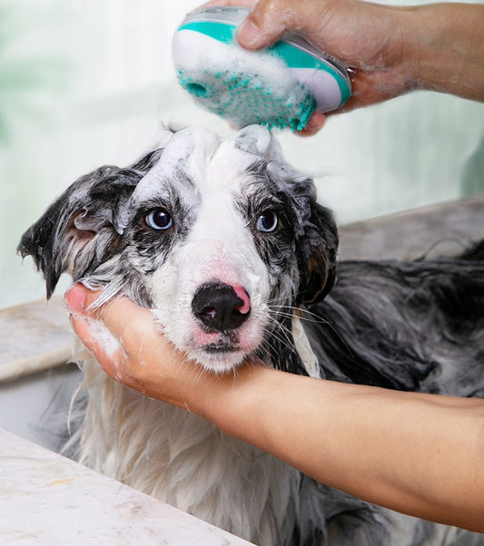 2-in-1 Haustier Badebürste – Kamm & Massagebürste für Hunde & Katzen